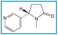 Nicotine Related Compound C